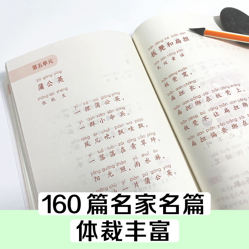 新版日有所诵一年级注音版第六版亲近母语薛瑞萍新母语小学生1年级语文教材同步课外阅读朗读晨诵暮读正版安徽新华书店旗舰店-图1