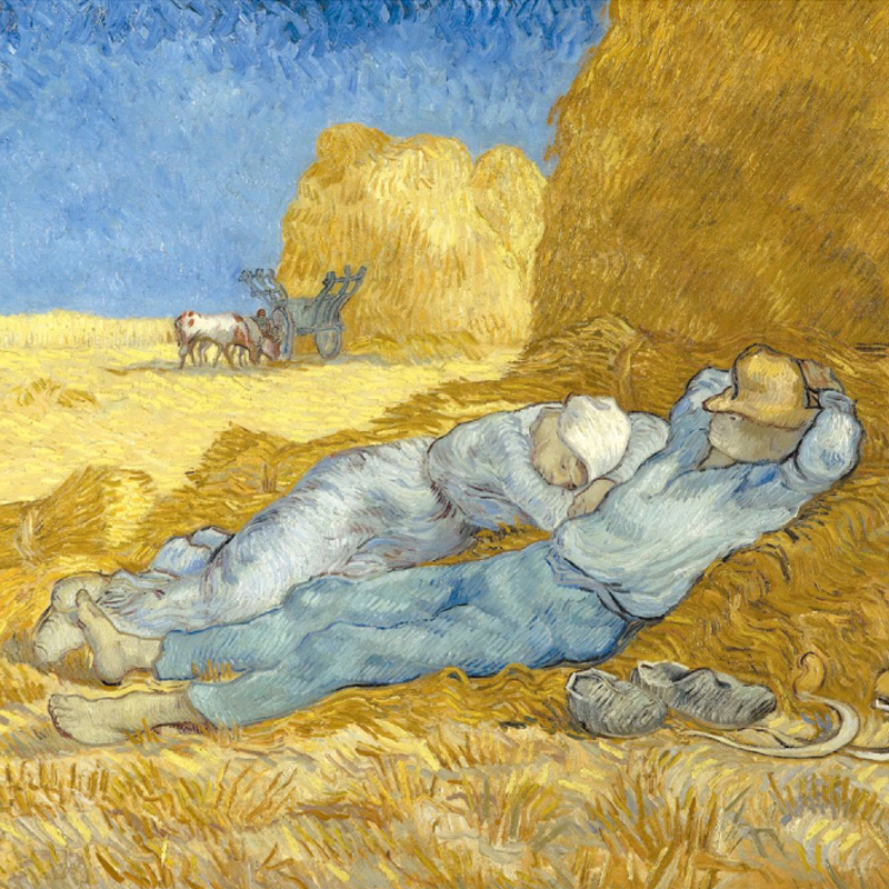 新书西方绘画大师经典系列 Van Gogh凡高作品集梵高油画中文版画集作品集临摹画册艺术书籍凡高油画星空向日葵杏花麦田 - 图3