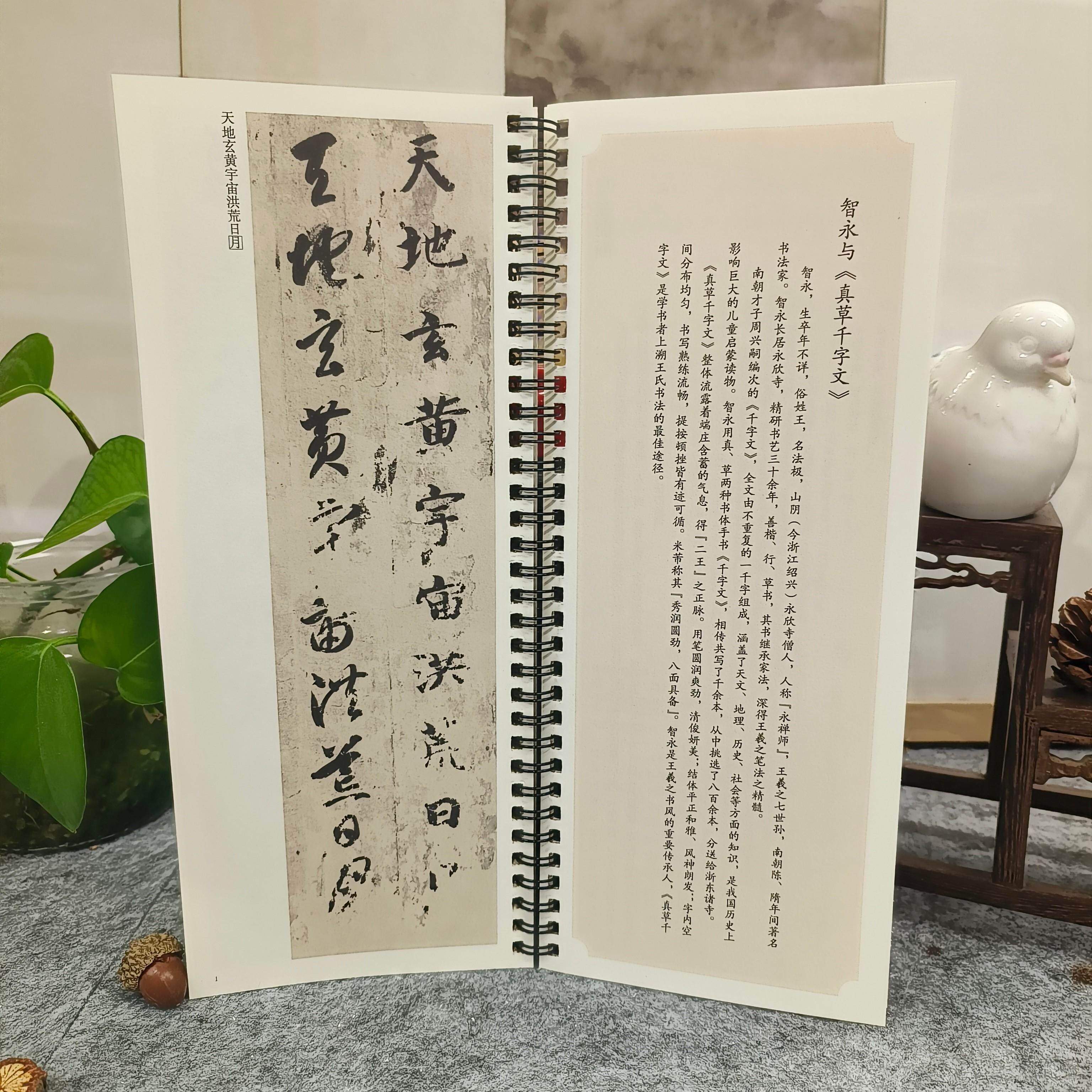 正版】传世碑帖临摹卡 隋 智永 真草千字文简体旁注 楷书草书碑帖书法教材毛笔练字字帖 学生成人临摹临帖练习古帖 安徽美术出版社