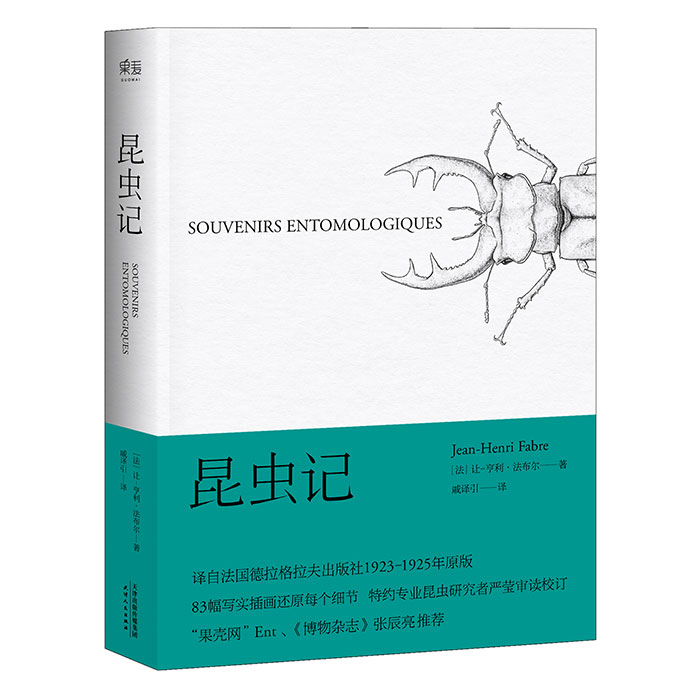 昆虫记 法布 博物杂志 张辰亮  科学松鼠会 引译自法国原版83幅写实插画精准还原细节   初中生统编语文教材配套阅读 - 图0