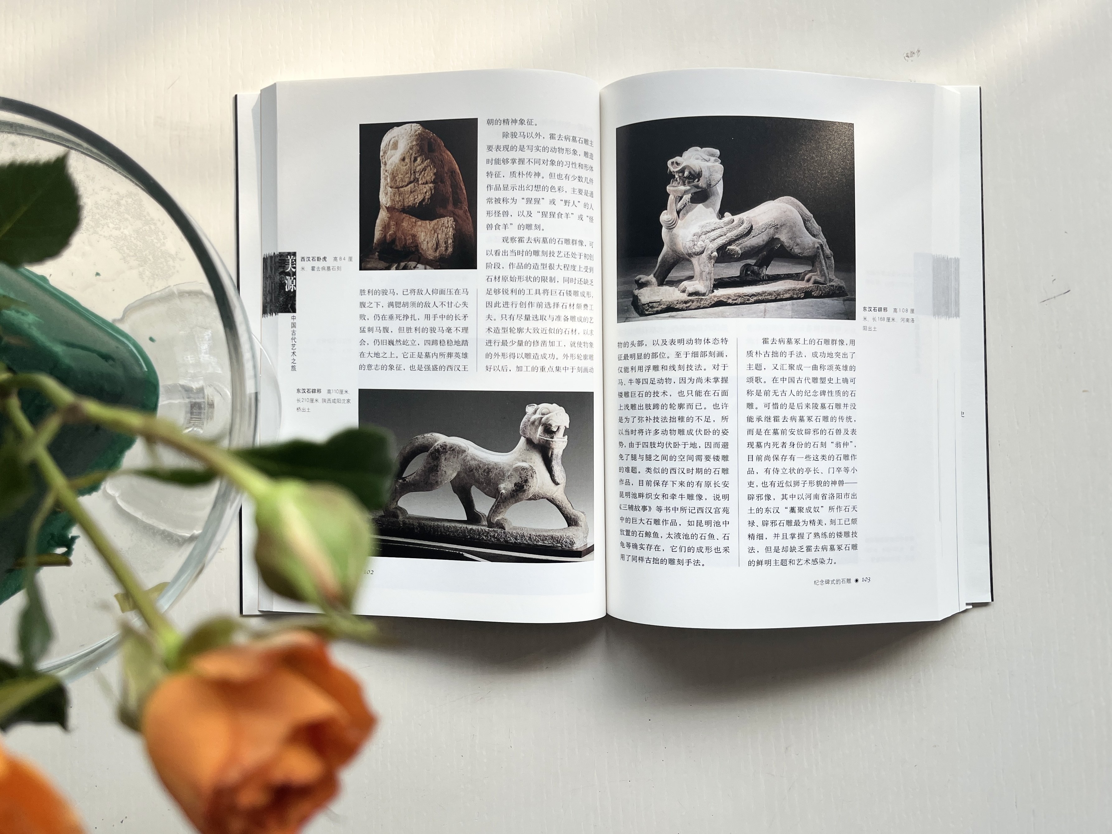 【新书】美源 中国古代艺术之旅 杨泓李力著 力图全面勾画中国艺术 的发展轨迹与读者一起探寻发现中国艺术之美 三联书店,淘宝优惠券,粉丝福利购,淘宝优惠卷