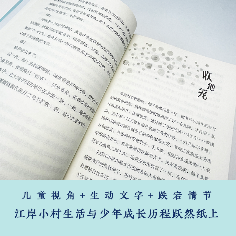 致敬中国 江水清清到我家 红色革命爱国教育读物书籍中小学生青少年四五六年级课外阅读小说书籍故事书 爱国精神 少年儿童出版社 - 图1