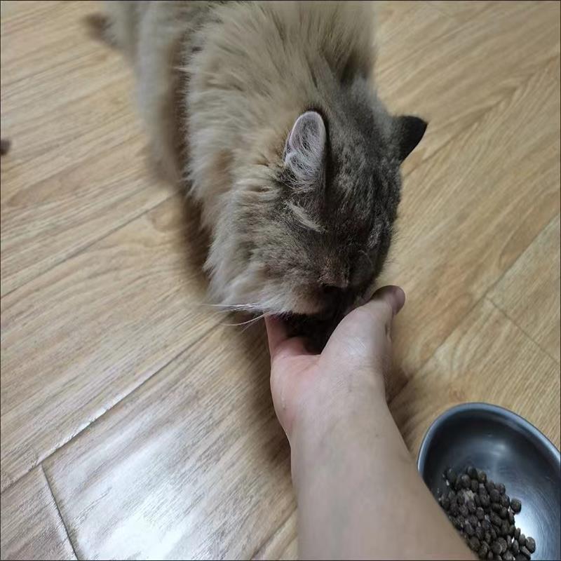 爱兜猫粮冻干猫粮增肥发腮幼猫成猫全阶段通用型营养猫主食10斤5 - 图2