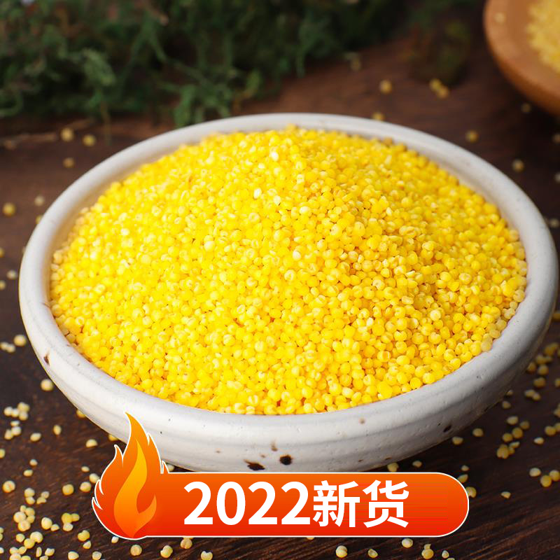 新东北黄小米500g*5 五谷杂粮吃的小黄米黑龙江粮食糯小米特产 - 图1