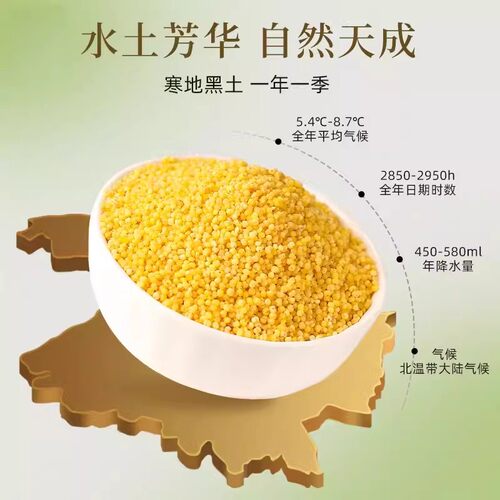 2026年东北黄小米新米粥五谷杂粮吃的小黄米黑龙江粮食糯小米特产 - 图1