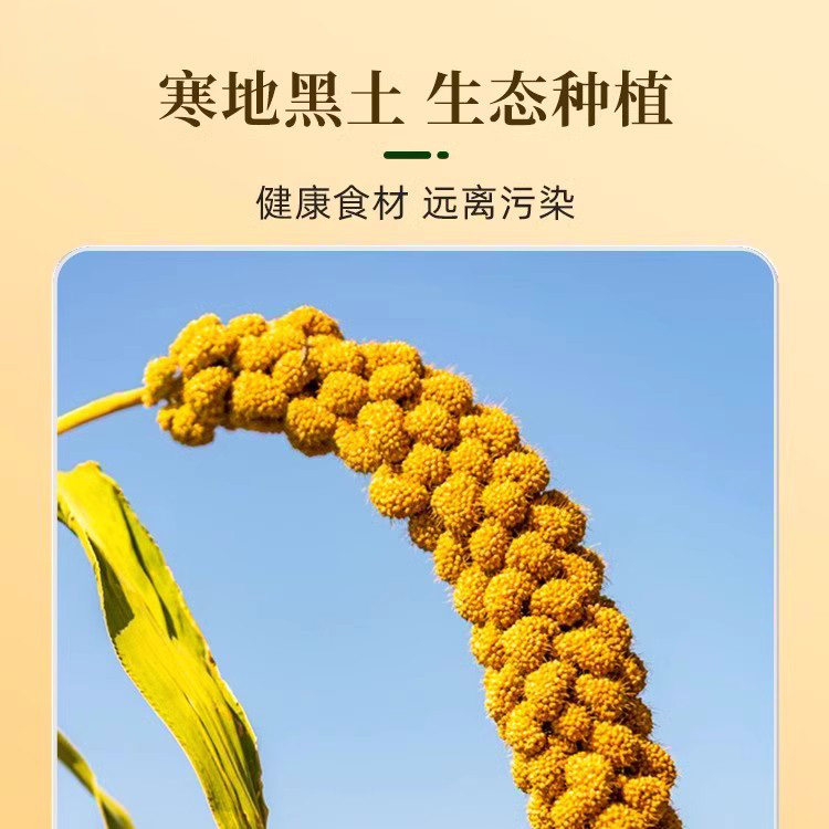 大黄米粉新米现磨粘豆包汤圆年糕黄米面粉正宗东北农家粗粮面粉,淘宝优惠券,粉丝福利购,淘宝优惠卷