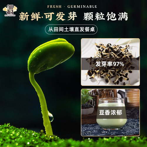 东北绿心黑豆 新货黄仁打豆浆专用五谷杂粮农家黑豆青仁绿芯尝鲜 - 图2