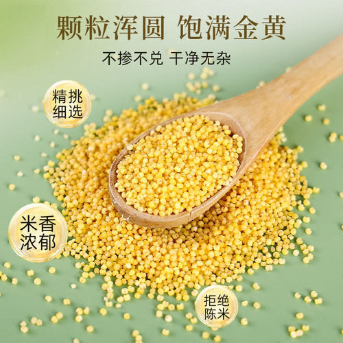 东北黄小米新米五谷杂粮农家自种食香糯粘稠小米粥袋装米油丰富 - 图0