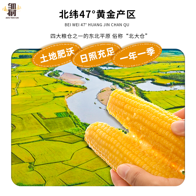 鲜糯玉米浆包苞粘玉米饼黏香甜玉米粑粑东北特产锅烙健康粗粮早餐