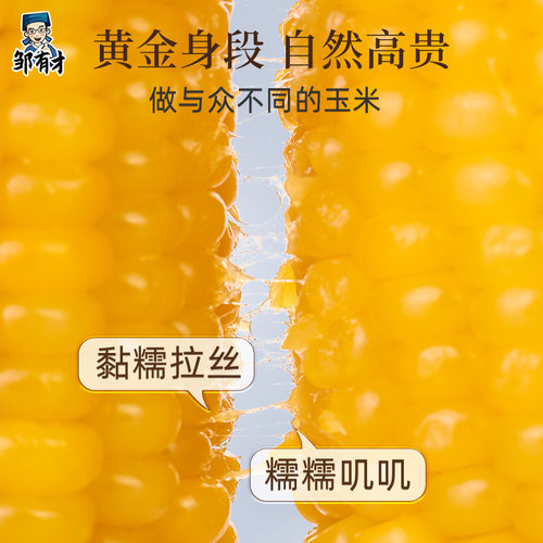 当季新货东北黄金玉米段真空铝早餐箔装低脂黄糯香甜代餐黏苞米 - 图2
