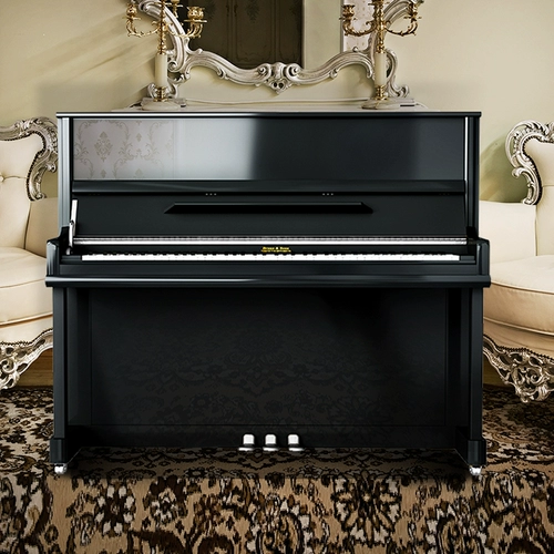 Магазины продают качество немецкого качества новых упражнений Bruno, входные упражнения для начинающих, профессиональный профессиональный экзамен на фортепиано UP118