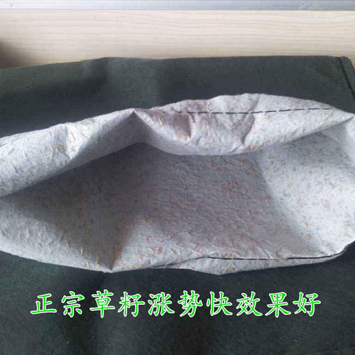 护坡绿色生态袋边坡防护绿化河道防汛环保土工山坡挡土草籽植生袋 - 图2