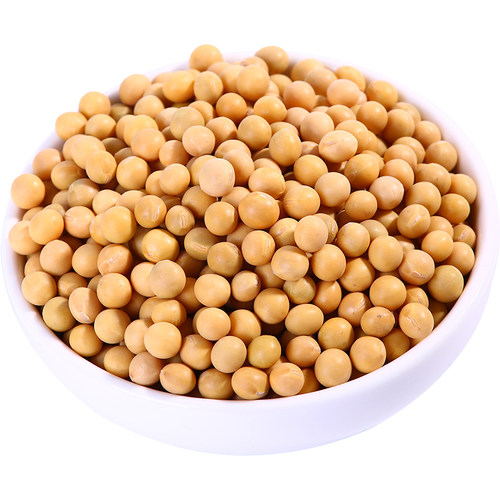 2025东北非转基因黄豆400g农家自种大豆打豆浆生豆芽专用小粒黄豆 - 图3
