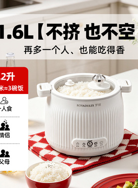 罗娅微压电饭煲炖汤火锅