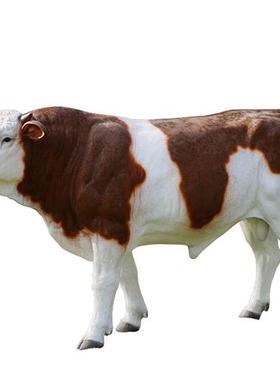 户外玻璃钢大型仿真西门塔尔安格斯黑牛和牛雕塑模型园林装饰摆件