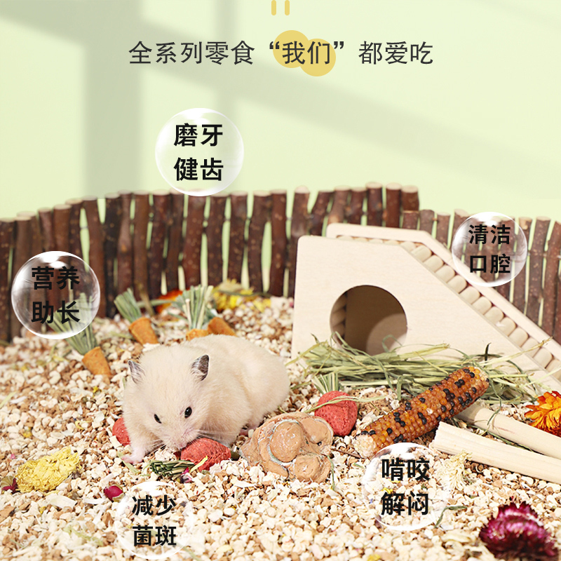 养小仓鼠金丝熊必备生活用品大全过冬套装齐全夹子粮食木屑浴沙,淘宝优惠券,粉丝福利购,淘宝优惠卷