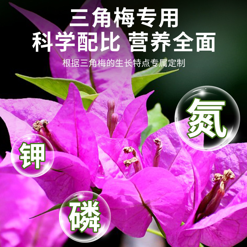 贝可施三角梅专用营养液液体肥花肥水培发财树月季养花草莓肥料,淘宝优惠券,粉丝福利购,淘宝优惠卷