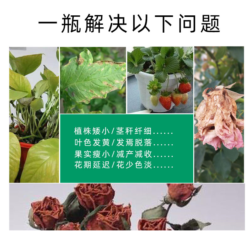 缓释肥复合肥花肥料家用通用型颗粒有机植物专用盆栽绿植花卉养花-图1