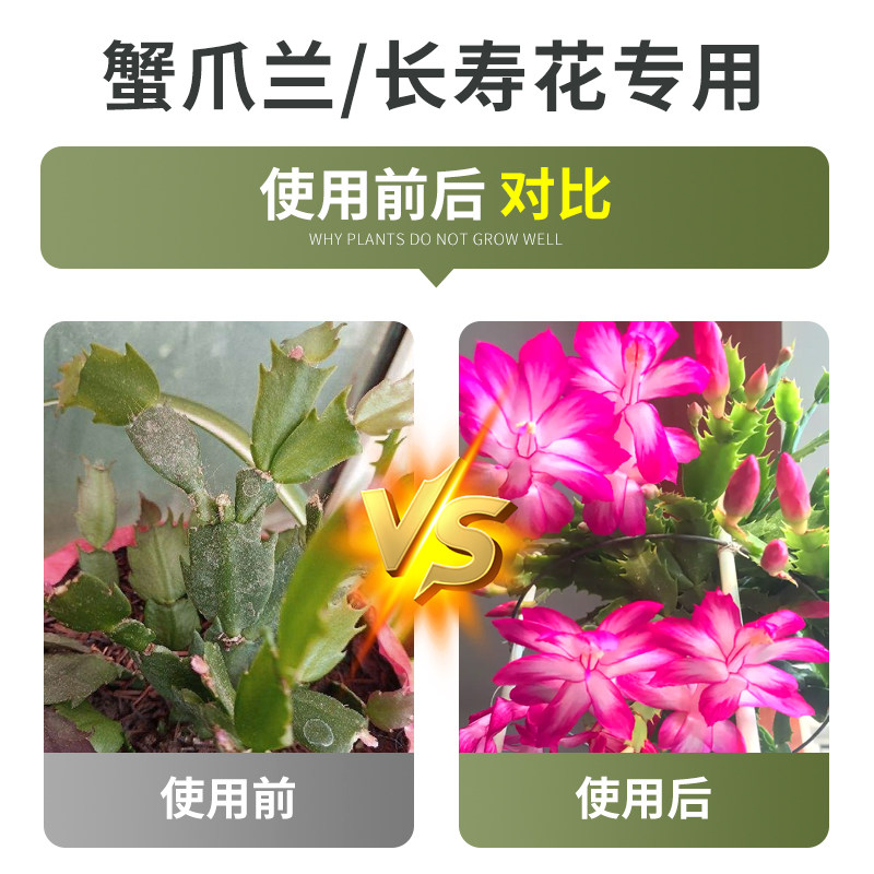 贝可施蟹爪兰开花肥料有机缓释复合肥植物专用盆栽绿植花卉养花,淘宝优惠券,粉丝福利购,淘宝优惠卷