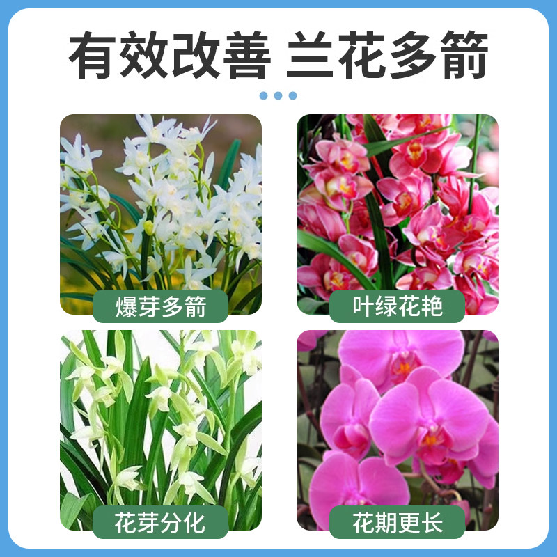 贝可施多箭素兰花园艺营养液兰灵王蝴蝶兰开花促兰花爆芽素专用肥,淘宝优惠券,粉丝福利购,淘宝优惠卷