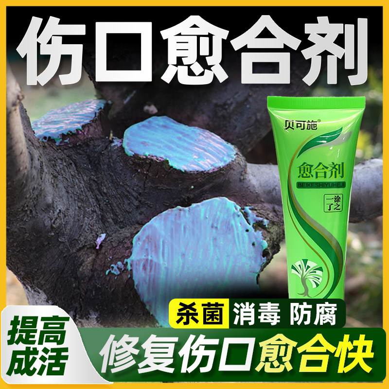 植物伤口愈合涂抹剂封口涂膜剂树枝剪枝树桩皮切口修复愈合膏园艺,淘宝优惠券,粉丝福利购,淘宝优惠卷