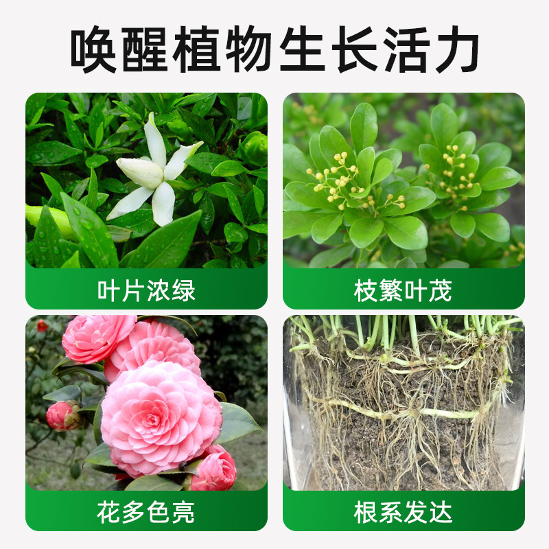 贝可施喜酸植物型通用营养液土壤调酸使用便捷花朵光泽调节ph,淘宝优惠券,粉丝福利购,淘宝优惠卷