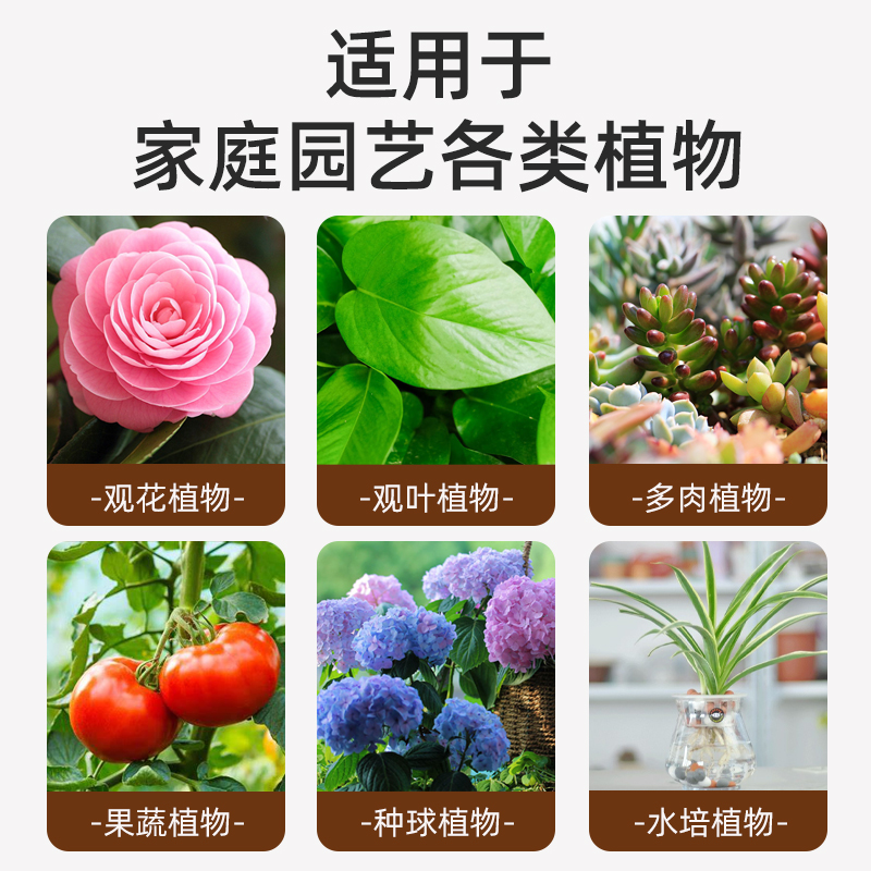 贝可施生根液快速爆根液发根生根水扦插用植物壮苗生根粉剂营养液 - 图1