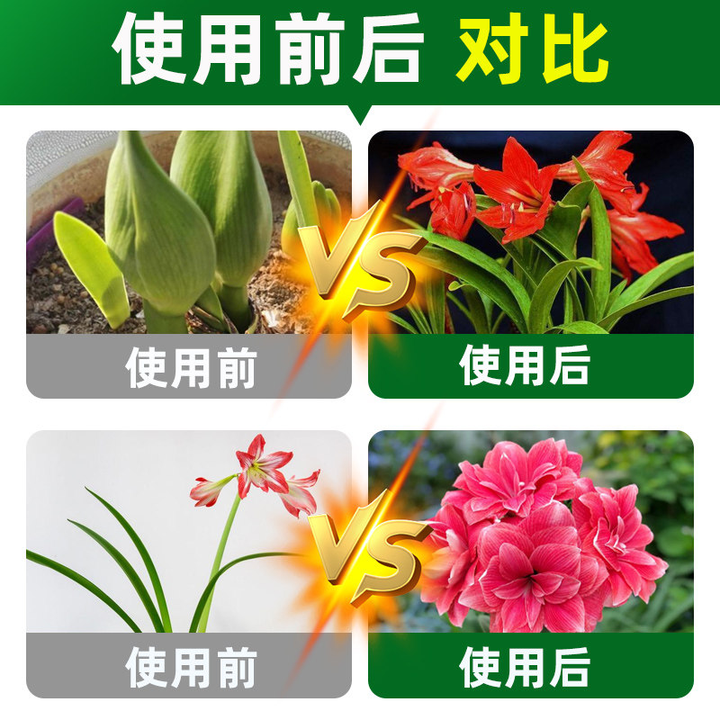 贝可施朱顶红专用营养液肥料催箭延花期防黄叶掉花苞促花催花绿叶,淘宝优惠券,粉丝福利购,淘宝优惠卷