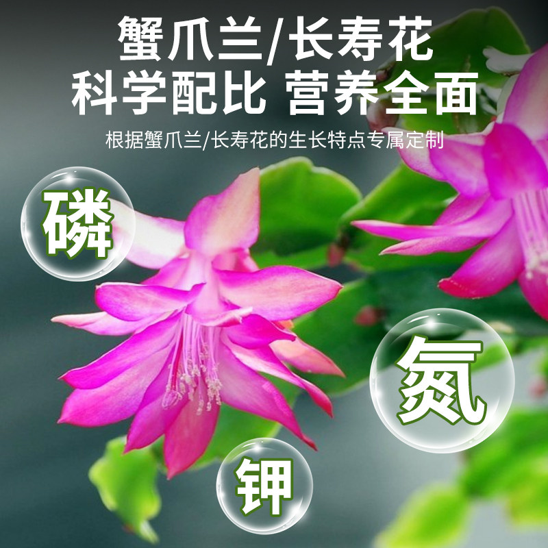 贝可施蟹爪兰开花肥料有机缓释复合肥植物专用盆栽绿植花卉养花,淘宝优惠券,粉丝福利购,淘宝优惠卷