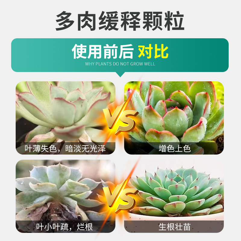 贝可施多肉专用控释肥颗粒缓释花肥料复合肥家用通用型盆栽绿植,淘宝优惠券,粉丝福利购,淘宝优惠卷