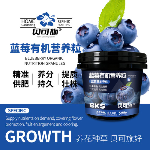 贝可施蓝莓有机营养粒膨果着色健壮植株果大果甜开花蓝莓基地 - 图0