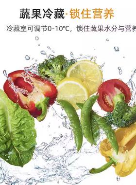 志高冰箱家用大容量双门出租屋冷藏冷冻两用宿舍保鲜立式冰箱