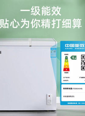 志高一级节能双温冰柜家用冷冻保鲜两用小型节能省电双门商用冷柜