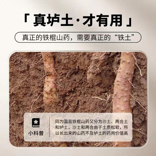 河南特产怀庆垆土正宗铁棍山药铁杆淮山温县农家新鲜精选5斤粉糯 - 图1