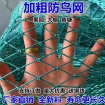 Greenhouse Nylon Thread Bird-proof nets Breeding Chickens Nylon Nets Breeding Sky Nets Fish Pond Orchard Anti Bird Nets Fruit Trees Bird-proof nets