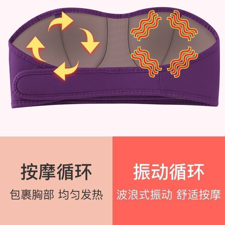  帝趣保健用品理疗仪（器械）