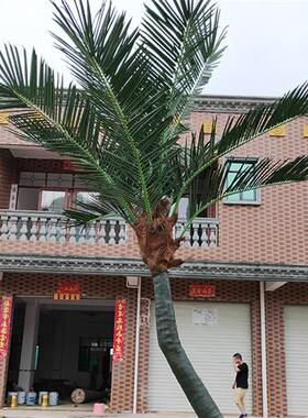 仿真椰子树景观椰子树游乐园绿化仿真植物大王椰子树大树直销