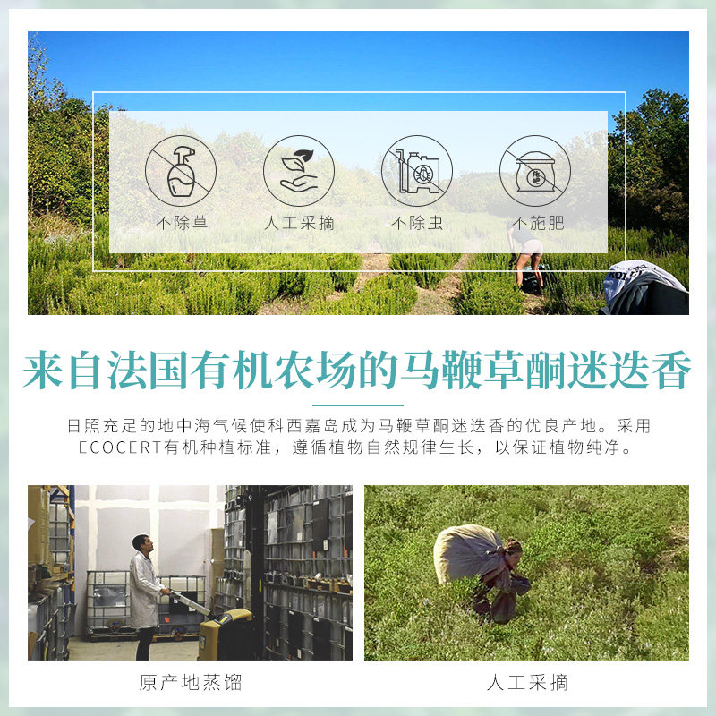 cy蔻也迷迭香马迷纯露酮喷雾花水 COMYENN蔻也纯露/花水