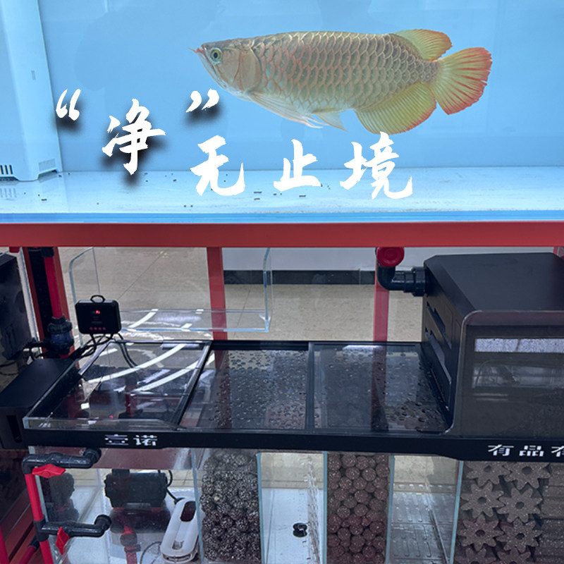 壹诺二代轻质原矿培菌球鱼缸滤材过滤材料水族细菌屋培菌净水滤材,淘宝优惠券,粉丝福利购,淘宝优惠卷