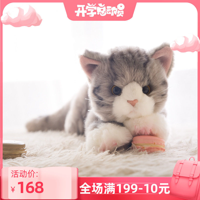 猫咪蓝白可爱 新人首单立减十元 21年9月 淘宝海外