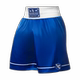 HAYABUSA professional boxing shorts professional boxing