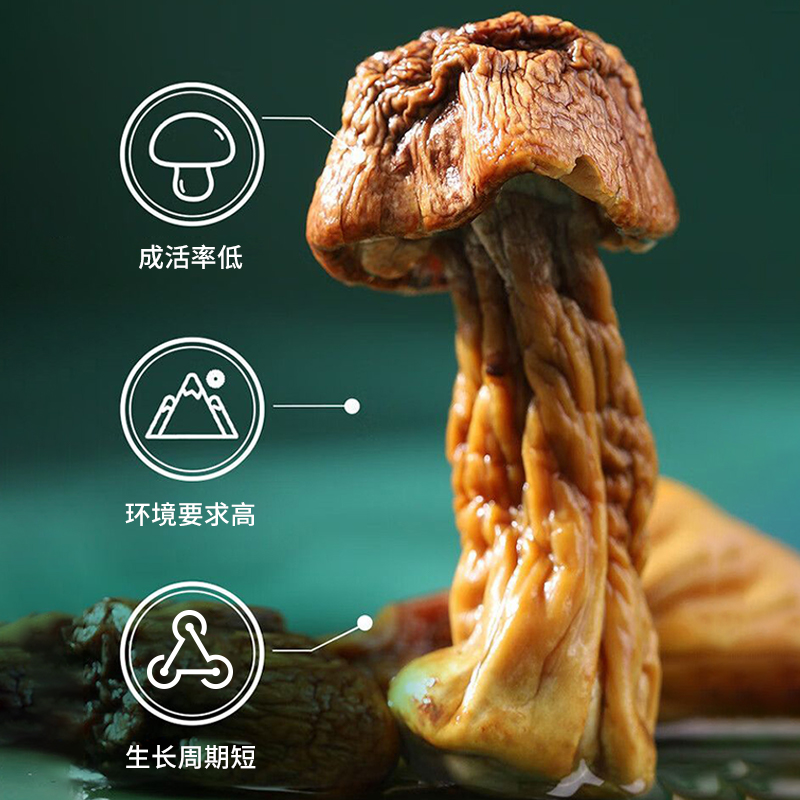 姬松茸干货500g云南特产精选特级天然无硫松茸菌巴西菇松茸野生菌