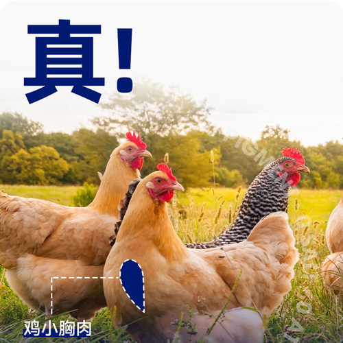 宠物蒸煮鸡胸肉鸡肝猫咪零食40g幼猫狗狗通用互动零食水煮鸡肉块 - 图0