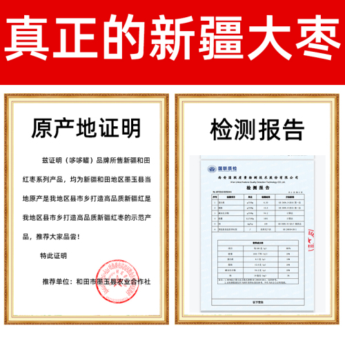 新疆红枣特级和田大枣特大无核枣子新鲜货干果一级礼盒特产旗舰店