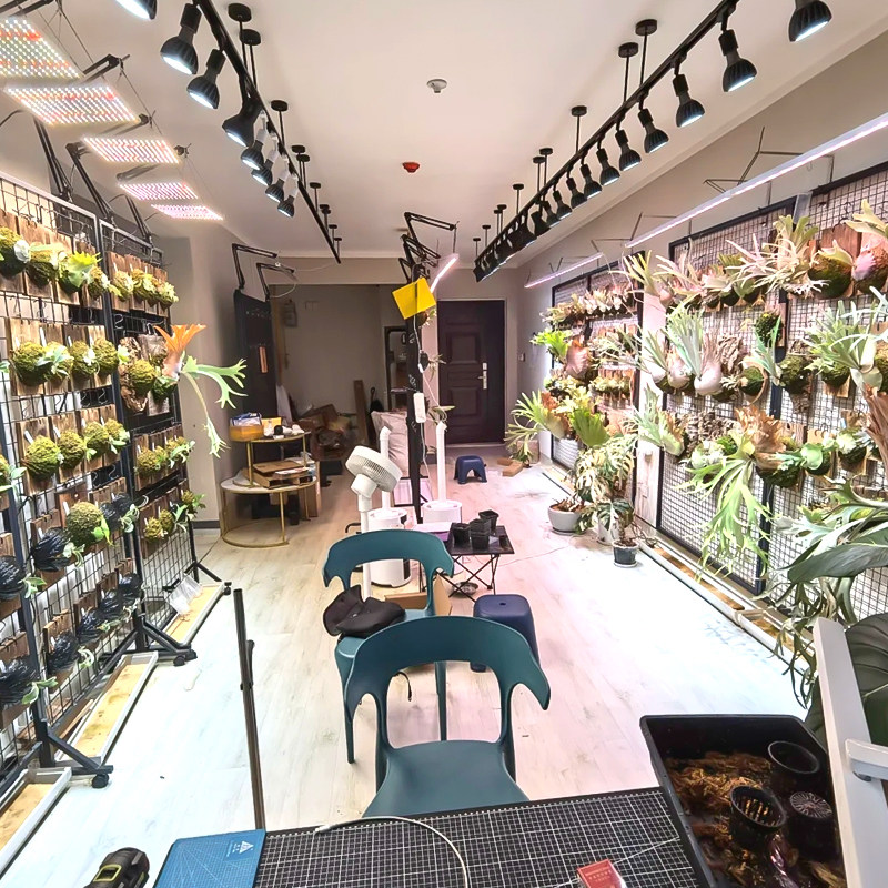 led全光谱植物补光灯室内家用绿植盆栽花卉热植生长灯鱼缸爆藻灯,淘宝优惠券,粉丝福利购,淘宝优惠卷