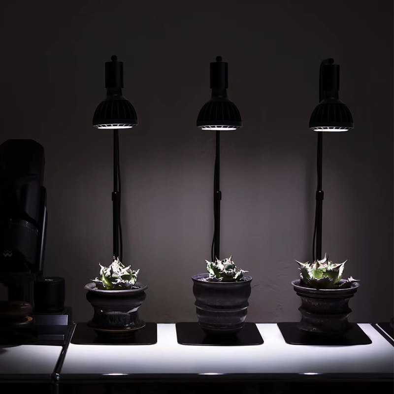 光联天下桌面植物生长灯小型盆栽微景观龙舌兰块根仙人球补光台灯,淘宝优惠券,粉丝福利购,淘宝优惠卷