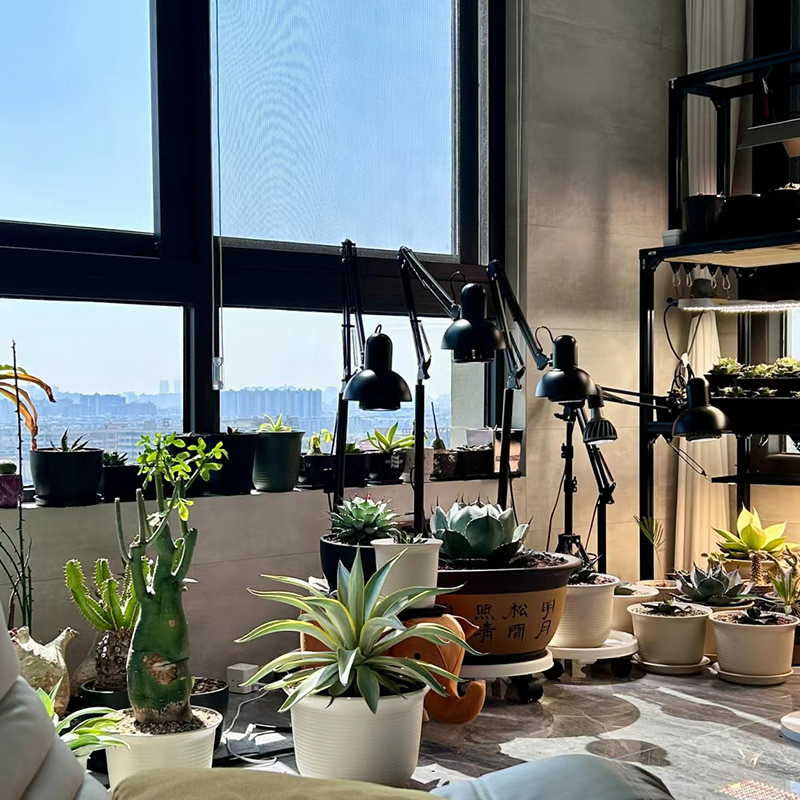 led全光谱植物补光灯室内家用绿植盆栽花卉热植生长灯鱼缸爆藻灯,淘宝优惠券,粉丝福利购,淘宝优惠卷