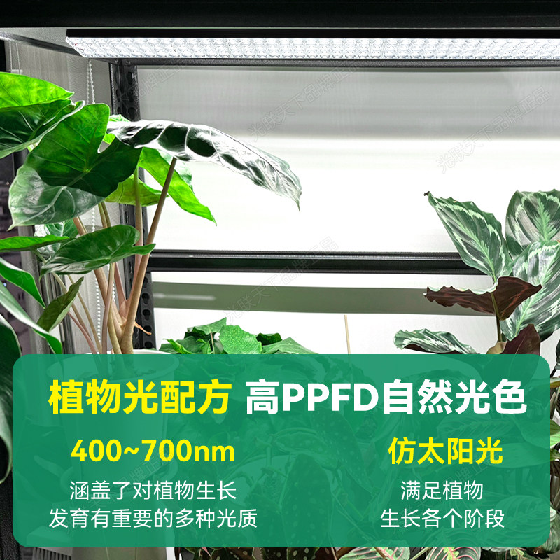 光联天下热植观叶类植物生长灯长条排灯全光谱仿太阳光植物补光灯,淘宝优惠券,粉丝福利购,淘宝优惠卷