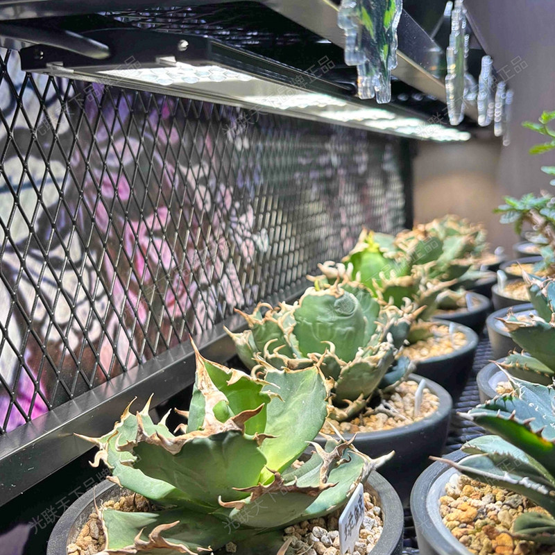 光联天下植物生长灯长条灯全光谱自然光热植花架植物柜补光灯排灯,淘宝优惠券,粉丝福利购,淘宝优惠卷