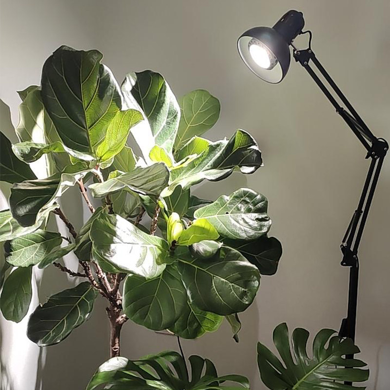光联天下植物补光灯室内盆栽绿植生长灯古法鱼缸落地灯全光谱白光,淘宝优惠券,粉丝福利购,淘宝优惠卷
